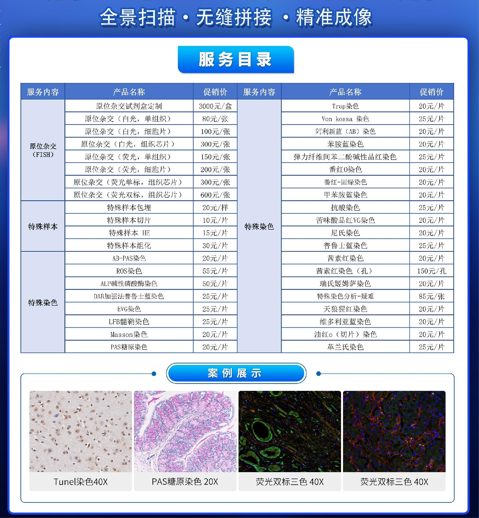 病理产品2.jpg